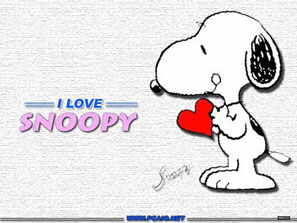 金號(hào)集團(tuán)miffy授權(quán)后博得史努比獨(dú)家授權(quán)