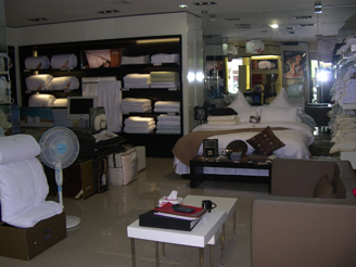 �ƶ����_���u��չʾ