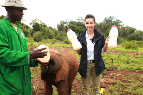 李冰冰出演"變四"引熱議非洲認養幼象