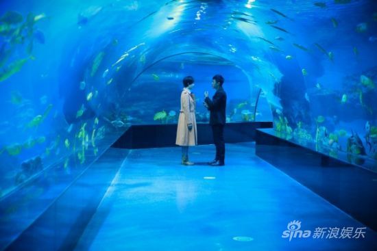 "��������"�Ŵ������Ƹ߿���݋ҕ�l