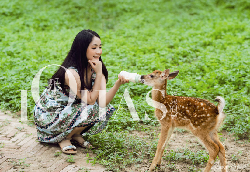 �պ���������t������Ȼ�����B(t��i)