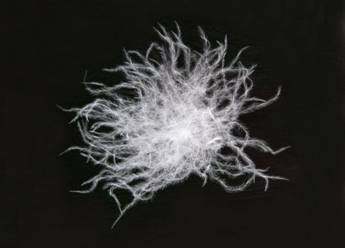 羽絨服為什么保暖性最好