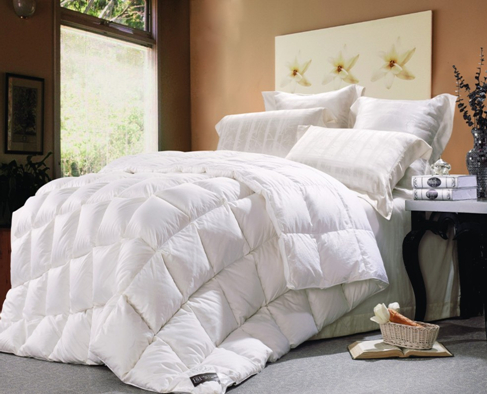 ���ˍu����q���ı��B(y��ng)֪�R