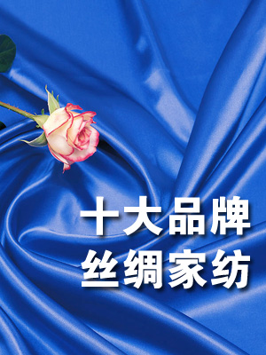 十大品牌絲綢家紡