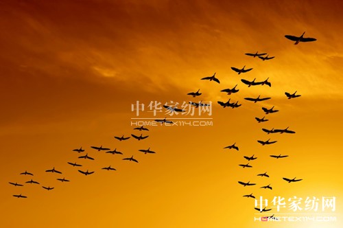 領導力之根——信譽和穩定