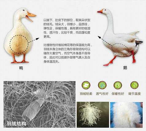 歐派家紡:反季特賣,怎樣選購正品的羽絨被