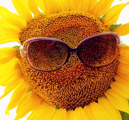 德國是如何管理的:六點管理哲學智慧