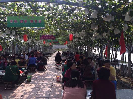 熱烈祝賀歐派家紡平度店金秋游活動圓滿結束!