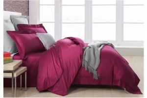 �Ҽ�ץס���^����׌��͎���