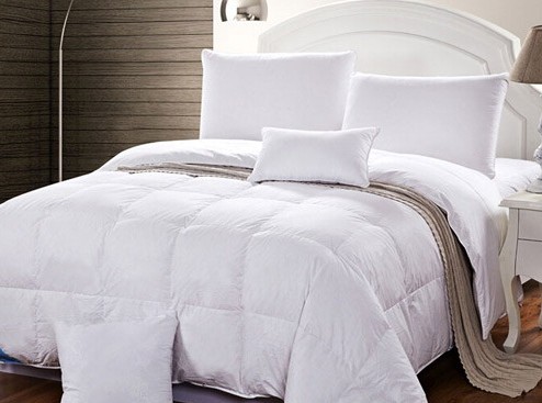 藍(lán)絲羽家紡加厚羽絨被精品上市