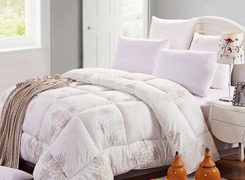 藍(lán)絲羽家紡加厚羽絨被精品上市