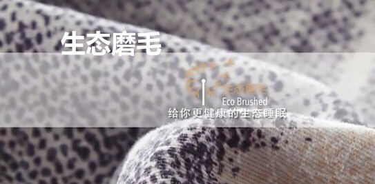 ���_�m�Ҽ����ﶬ��ů��ѡ����Bĥëӡ��