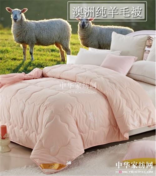 遠夢家紡:“被”戰(zhàn)世紀寒潮