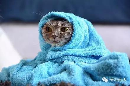 ��ԡ���ë�����Ԍ�����ë��Ҳ�����v����