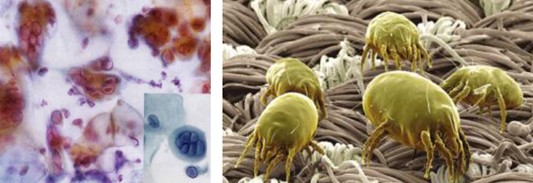 ���_�m�Ҽ�������������������360�㝍����˯