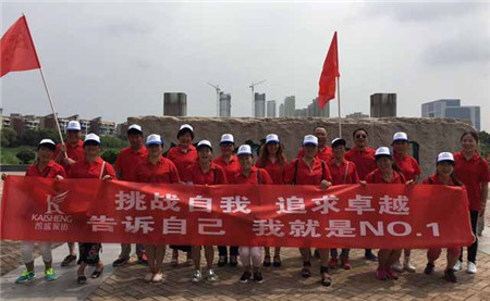 ������ؾ�Ӣ�R������ϵ�＾�lչ��