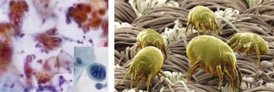 �ܽ^���f���x�����x���_�m���C(j��)�Ҽ�