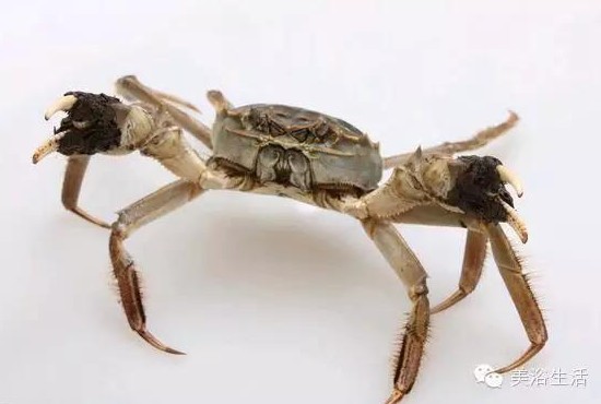 ��ԡ����Â���Ĵ��lз��з�S��ʳ��зȯ���ۣ�з��������ë����