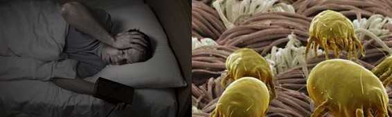 ���z�R�ƣ��_(k��i)�����B(t��i)���ܼҾ�4.0�r(sh��)��