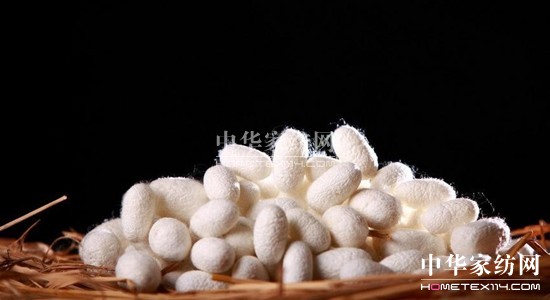 ���z�R�ƣ��_(k��i)�����B(t��i)���ܼҾ�4.0�r(sh��)��