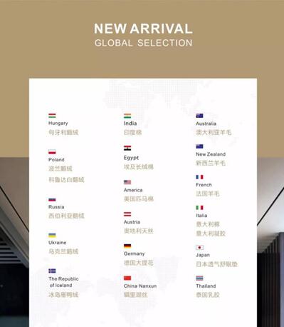 博洋家紡:全球臻選,開辟中國家紡“絲綢之路”