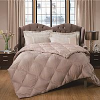 ��ɭ�r��ɫ�����Z�q������