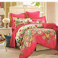 ���ƵĐ�(��i)��