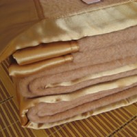 100%�q�漃��Ȼ�Q�z̺