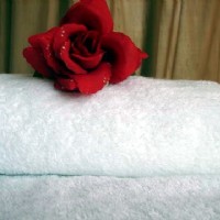 ����ԡ��