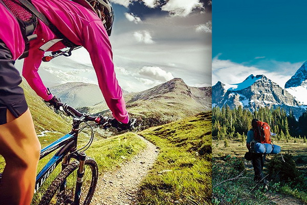 �����w�S���Ƴɹ������ܿ��������؜ر����{(di��o)����������ʲô�W�أ�